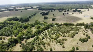 Terrell, TX 75161