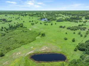 Edgewood, TX 75117