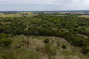 Wills Point, TX 75169