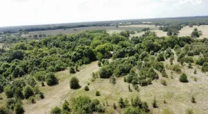 Terrell, TX 75161