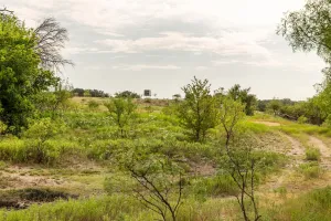 Mullin, TX 76864