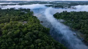 Quitman, TX 75783