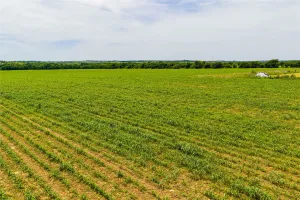 Cleburne, TX 76033