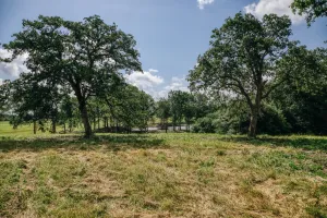 Mexia, TX 76667