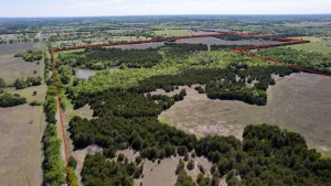 Blue Ridge, TX 75424