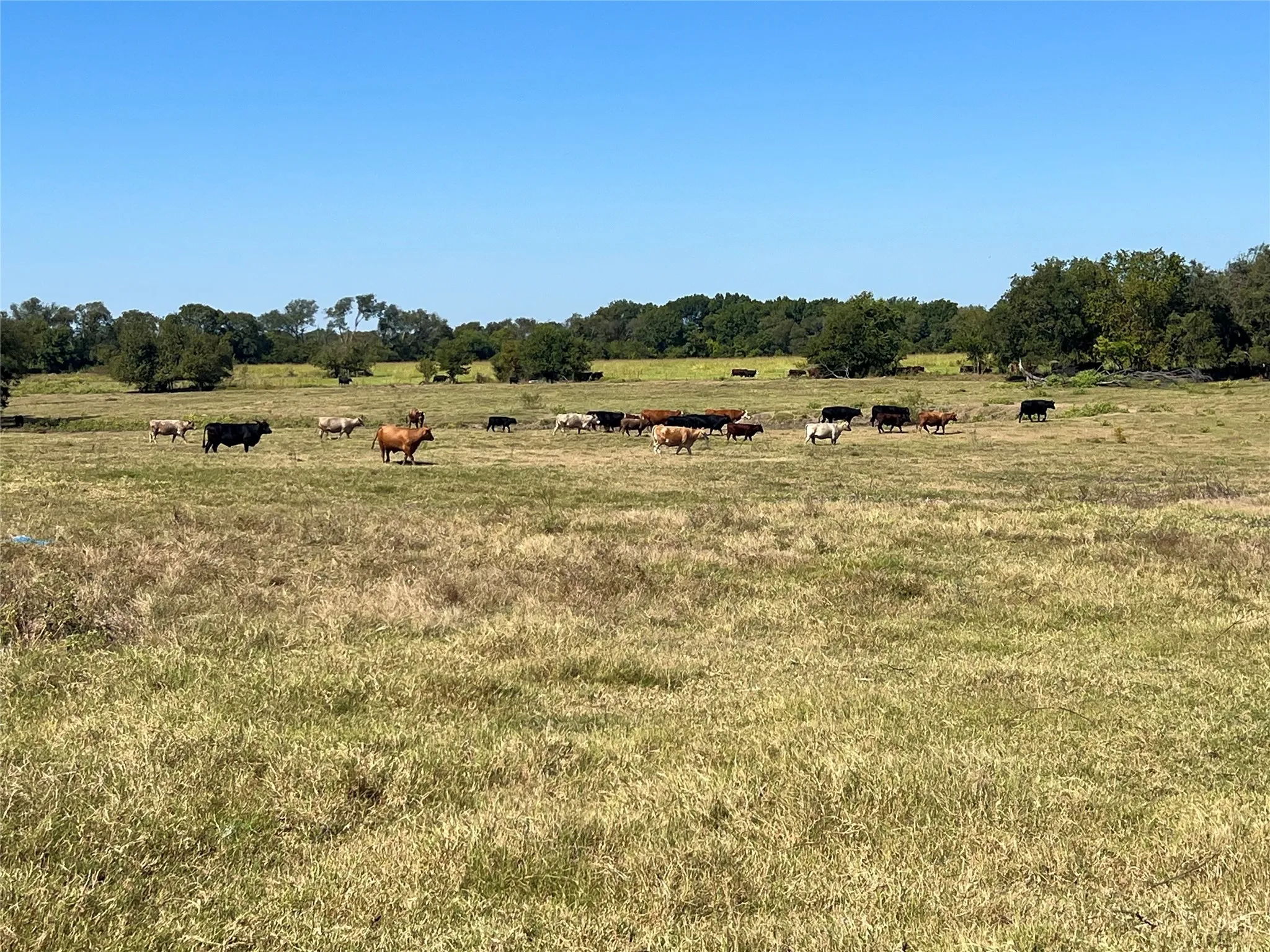 Milford, TX 76670