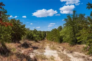 Perrin, TX 76486