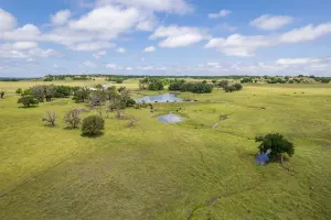 Hamilton, TX 76531