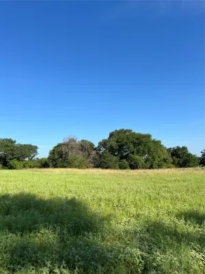 Tyler, TX 75706