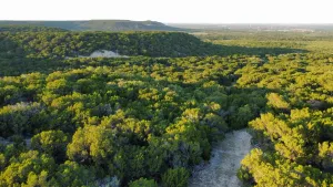 Abilene, TX 79602