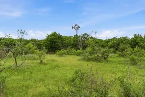 Bowie, TX 76230