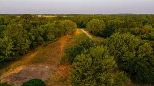 Sulphur Springs, TX 75482