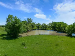 Mansfield, TX 76084