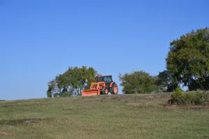 Henderson, TX 75654