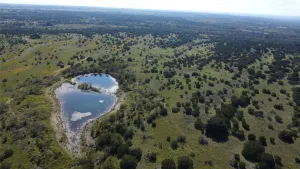 Carlton, TX 76436