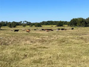 Milford, TX 76670