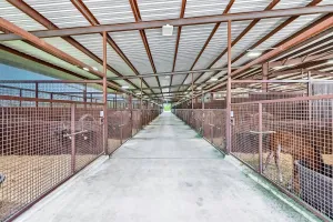 Whitesboro, TX 76273