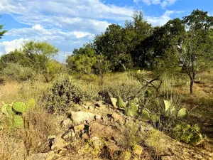 Jacksboro, TX 76458