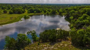 Hamilton, TX 76531