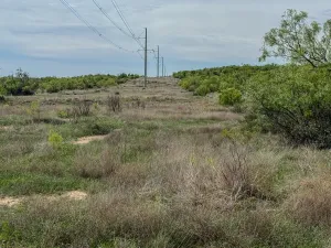Voss, TX 76888