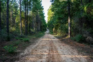 Alto, TX 75925