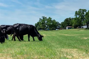 Flower Mound, TX 75022