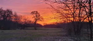 Fort Worth, TX 76120