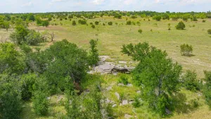 Carlton, TX 76436