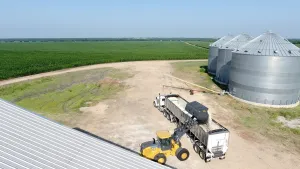 Blossom, TX 75416