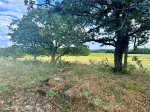 Jacksboro, TX 76458