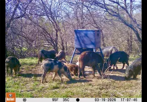 Coleman, TX 76834