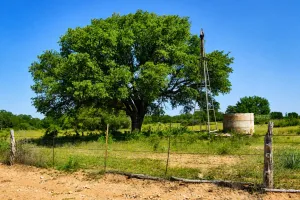 Rochelle, TX 76872