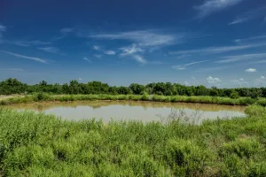 Henrietta, TX 76230
