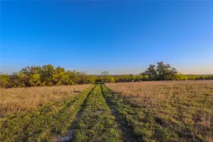 Comanche, TX 76442