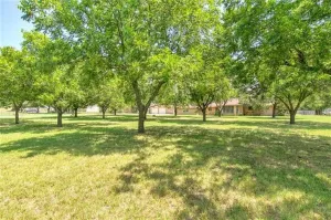 Stephenville, TX 76401