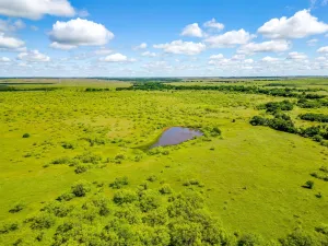Bellevue, TX 76228