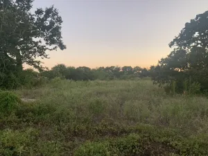 Stephenville, TX 76401