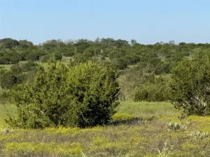Carlton, TX 76436