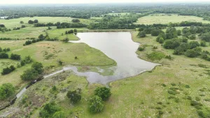 Mabank, TX 75147