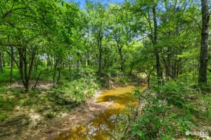 Bowie, TX 76230
