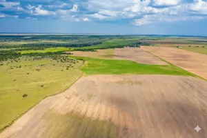 Harrold, TX 76364