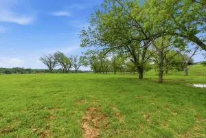 Granbury, TX 76048