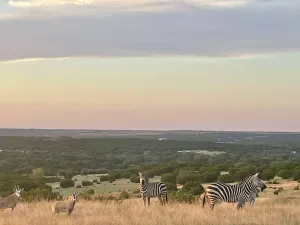 Lampasas, TX 76550