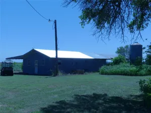 Forestburg, TX 76239