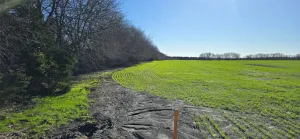 Forney, TX 75126