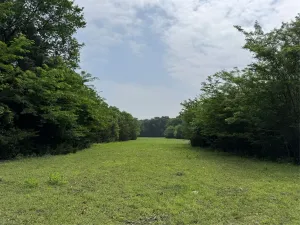 Mc Kinney, TX 75071