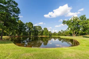 Hallsville, TX 75650
