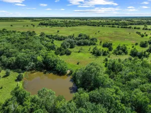 Whitewright, TX 75491
