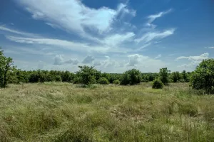 Henrietta, TX 76230