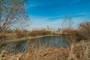 Coupland, TX 78615